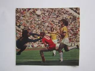 Вырезка. Футбол. Фото 401.