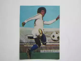 Вырезка. Футбол. Фото 402.