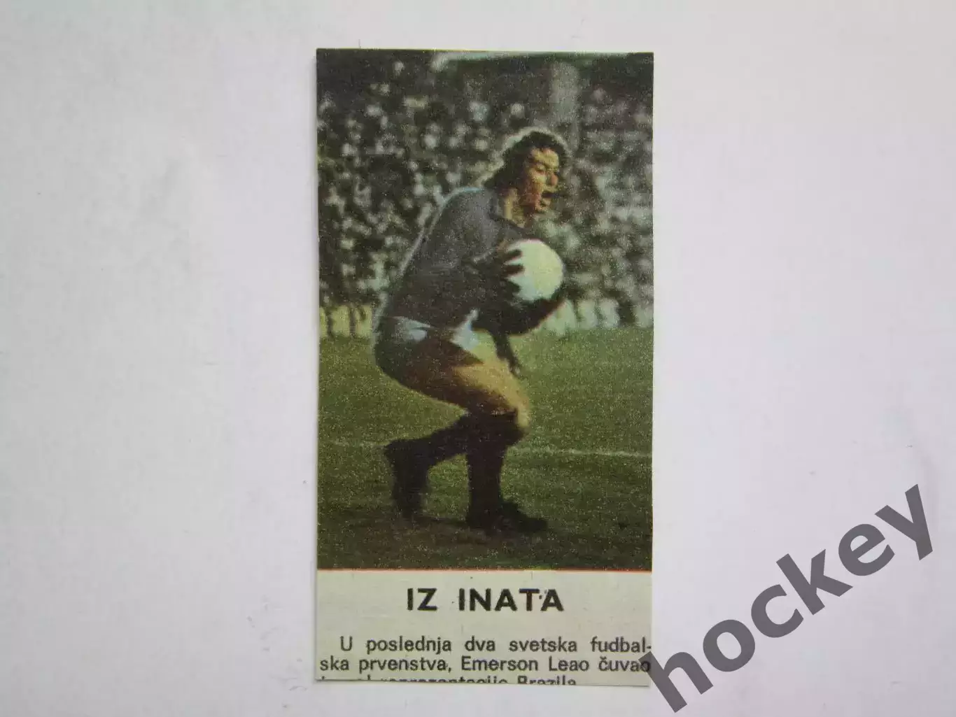 Вырезка. Футбол. Фото 411.