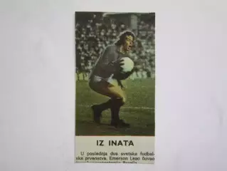 Вырезка. Футбол. Фото 411.