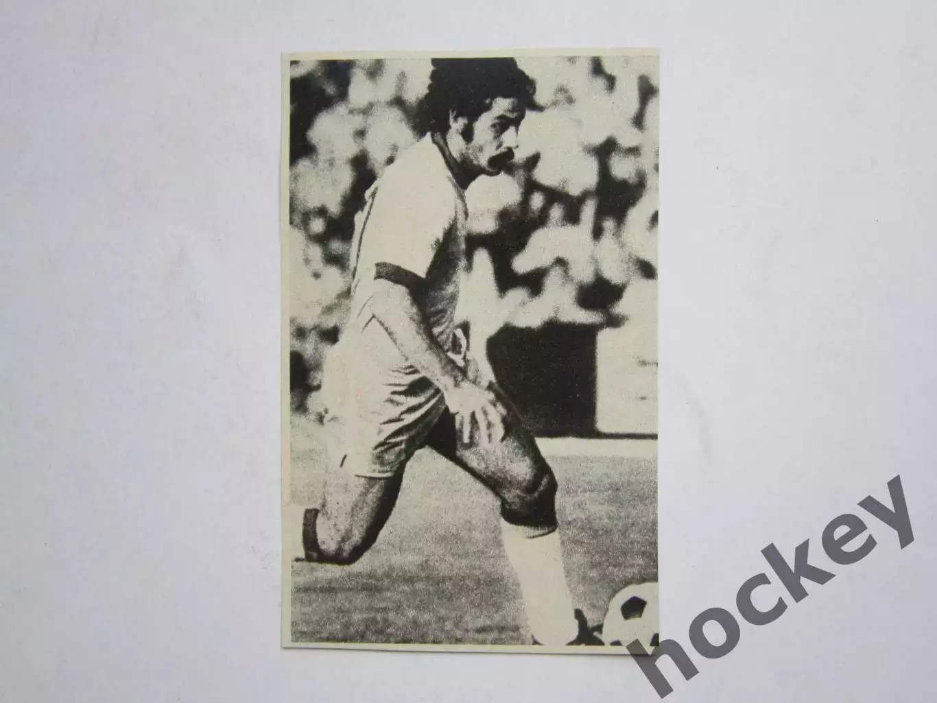 Вырезка. Футбол. Фото 415.