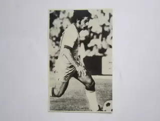 Вырезка. Футбол. Фото 415.