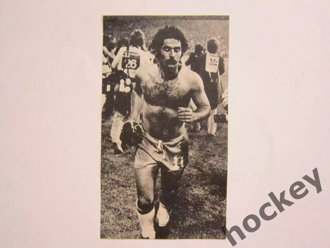 Вырезка. Футбол. Фото 416.