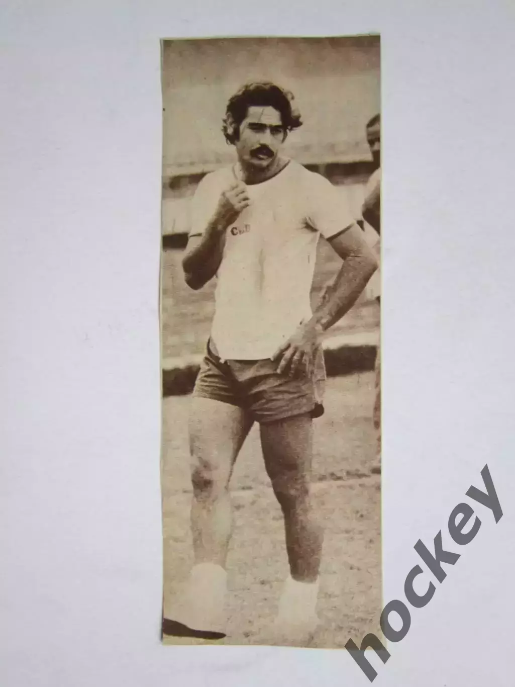 Вырезка. Футбол. Фото 419.