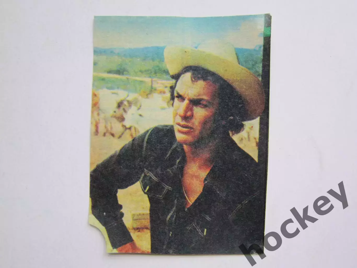 Вырезка. Футбол. Фото 424.