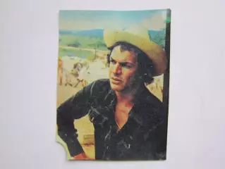 Вырезка. Футбол. Фото 424.