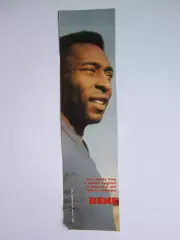 Вырезка. Футбол. Фото 427.