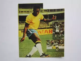 Вырезка. Футбол. Фото 429.