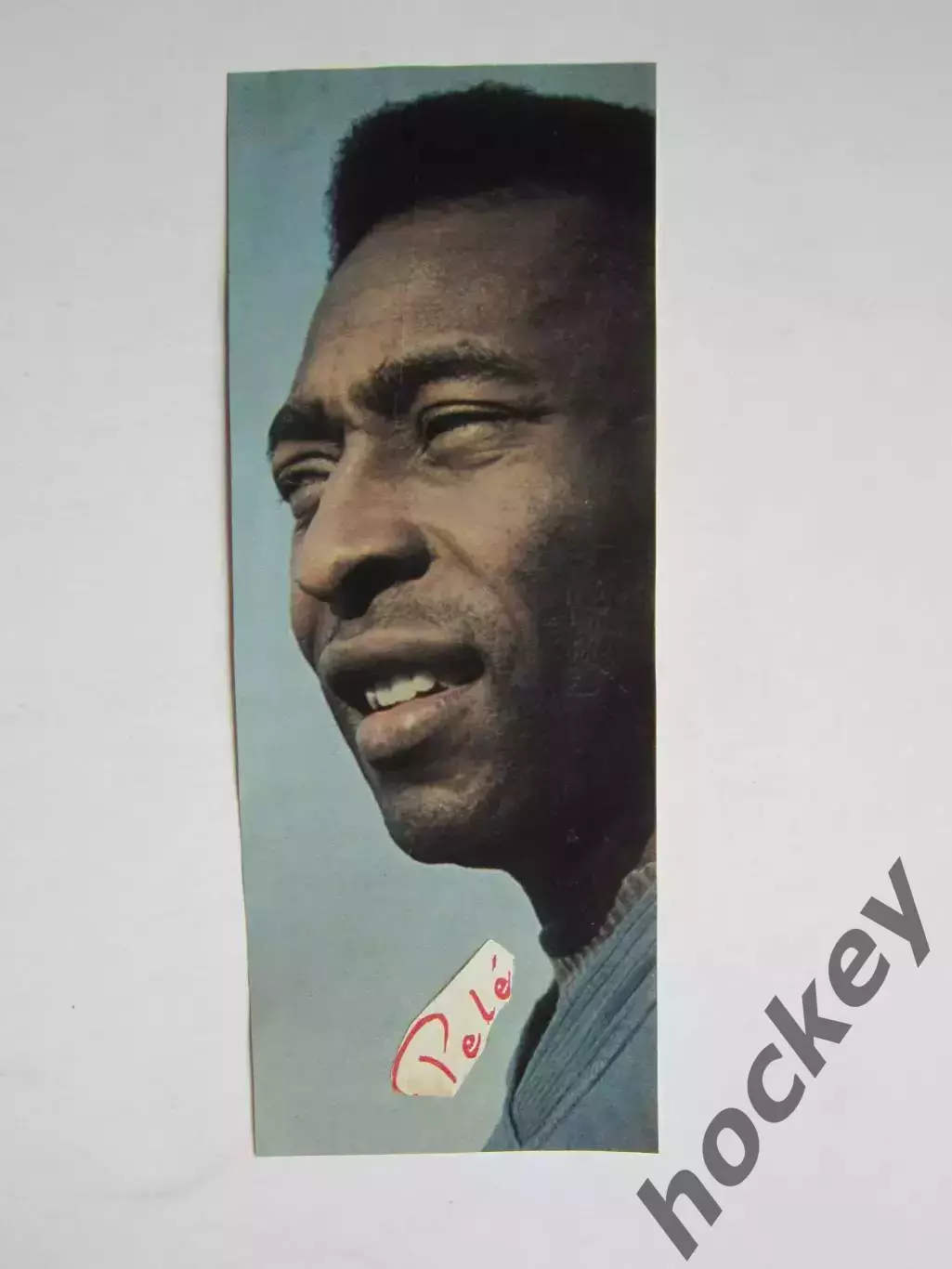 Вырезка. Футбол. Фото 431.