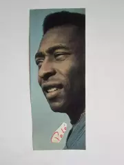 Вырезка. Футбол. Фото 431.