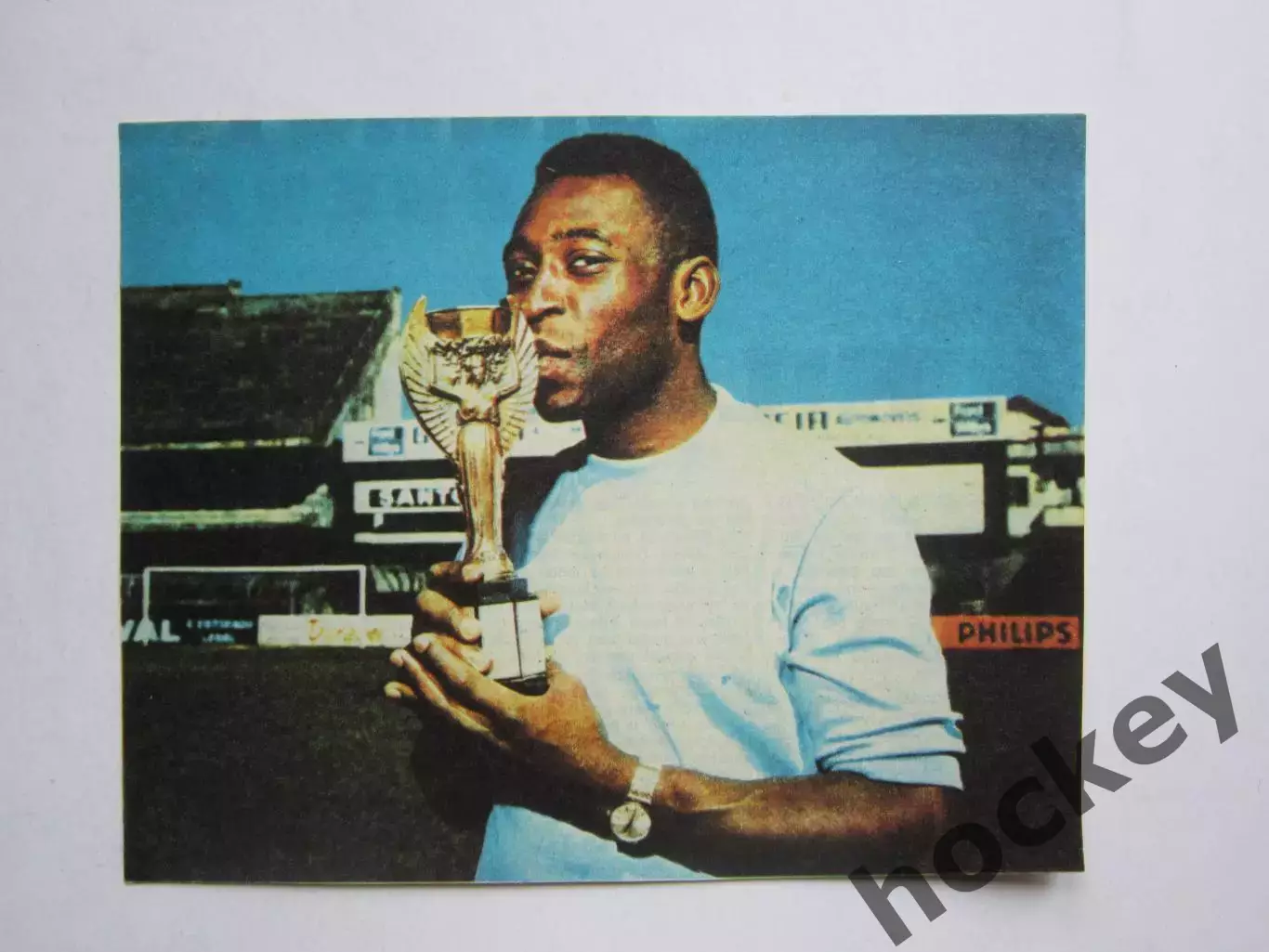 Вырезка. Футбол. Фото 433.