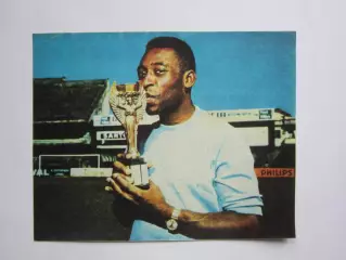 Вырезка. Футбол. Фото 433.