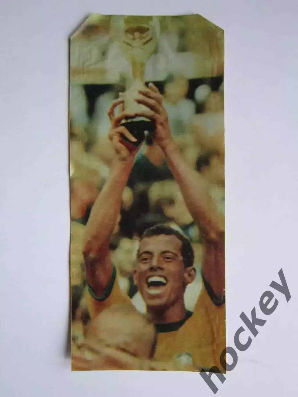 Вырезка. Футбол. Фото 435.