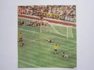 Вырезка. Футбол. Фото 441.