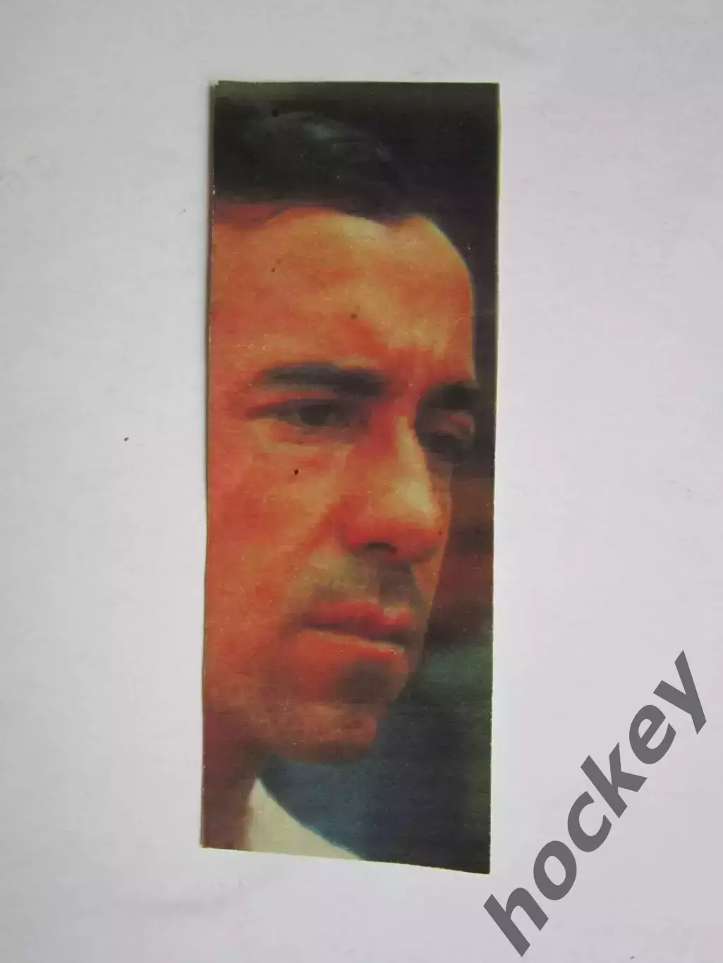 Вырезка. Футбол. Фото 442.