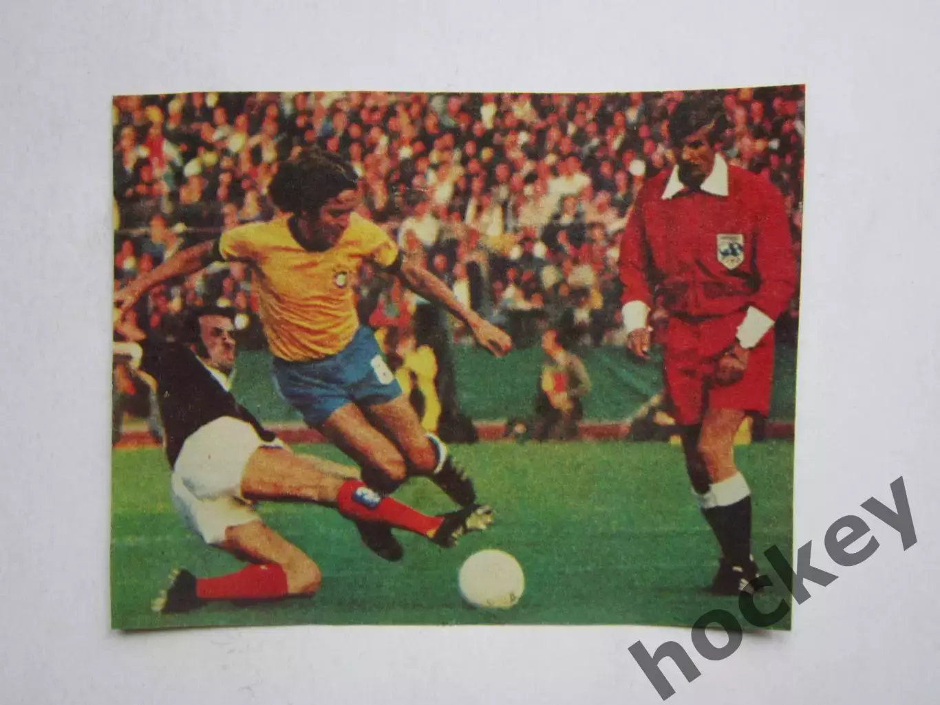 Вырезка. Футбол. Фото 443.