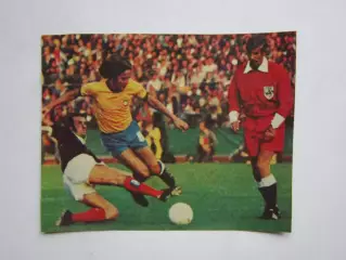 Вырезка. Футбол. Фото 443.