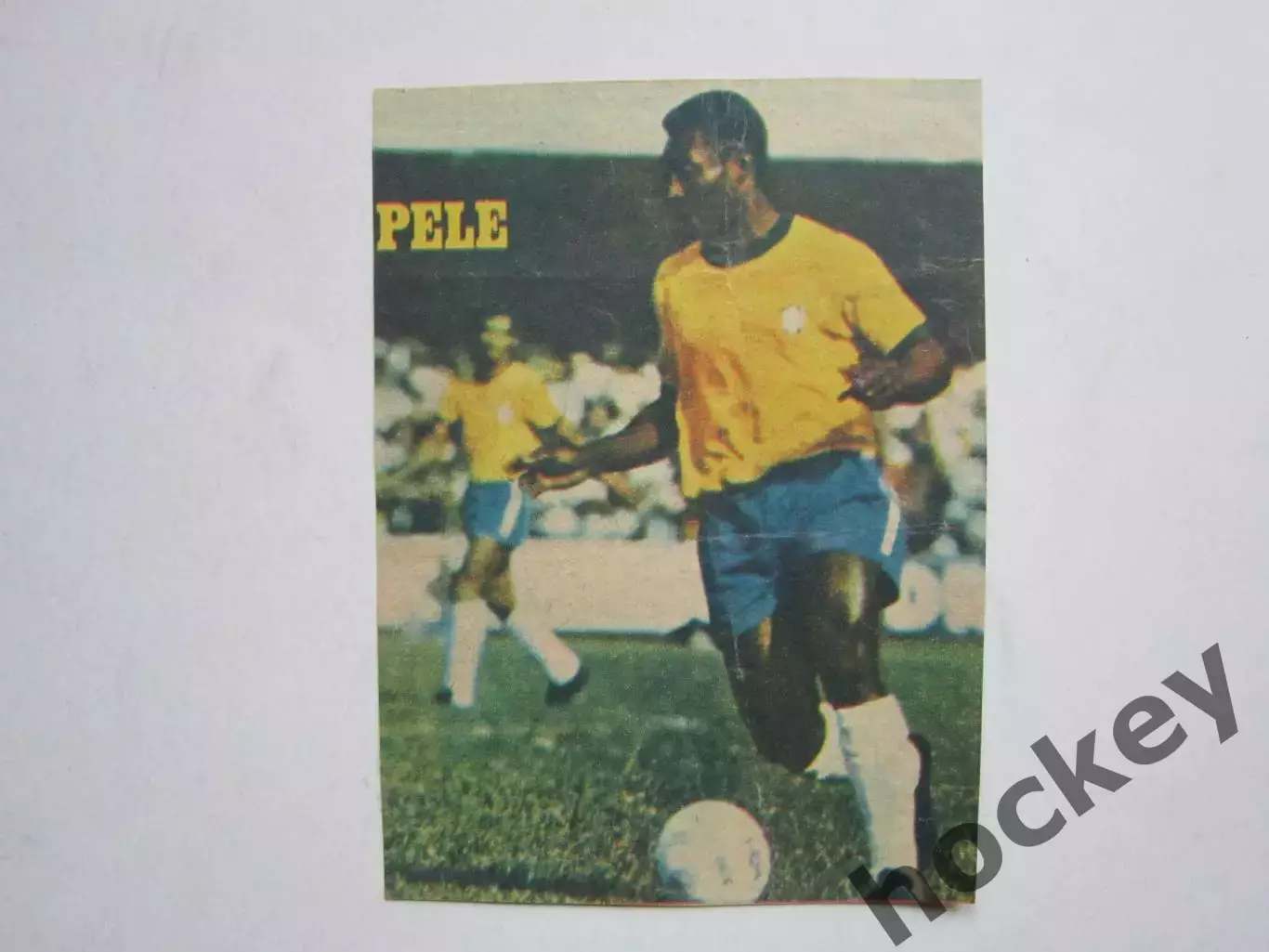 Вырезка. Футбол. Фото 444.