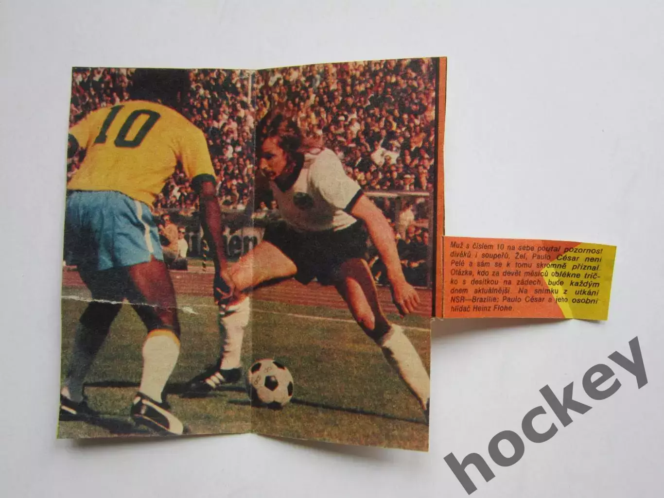 Вырезка. Футбол. Фото 445.