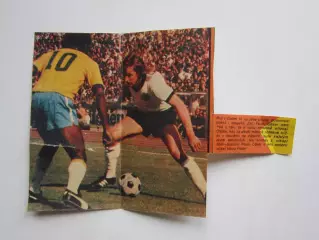 Вырезка. Футбол. Фото 445.