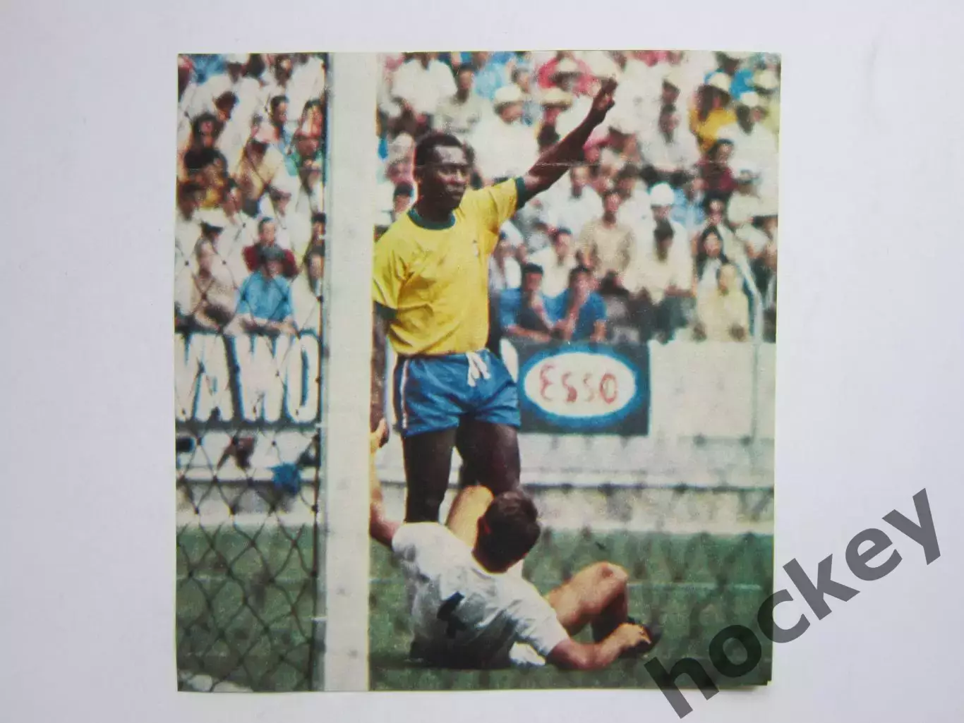 Вырезка. Футбол. Фото 446.