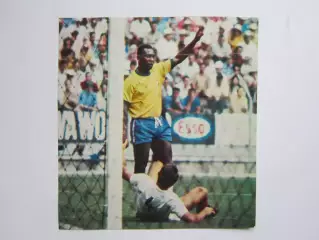 Вырезка. Футбол. Фото 446.