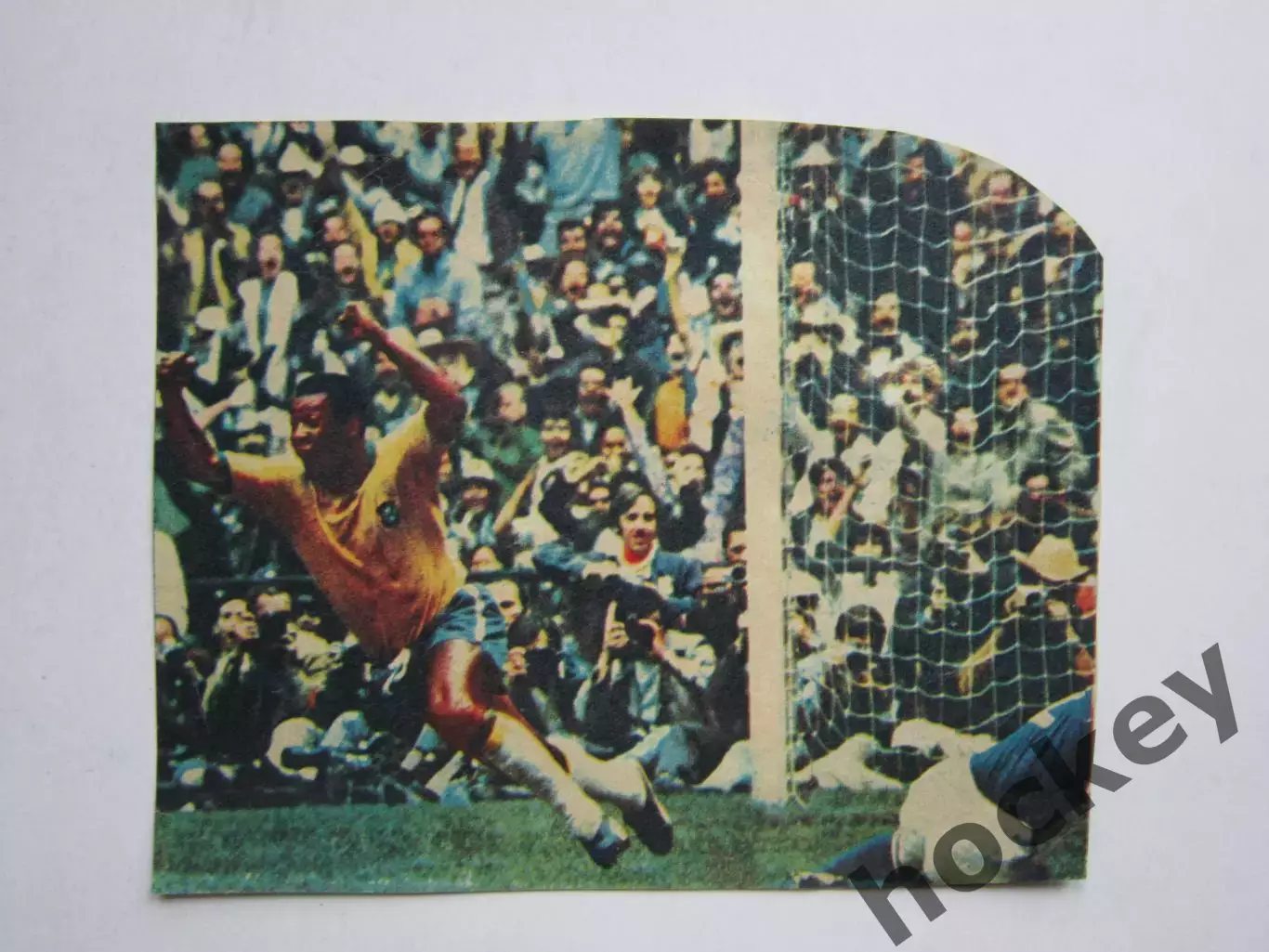 Вырезка. Футбол. Фото 447.