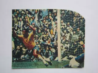 Вырезка. Футбол. Фото 447.