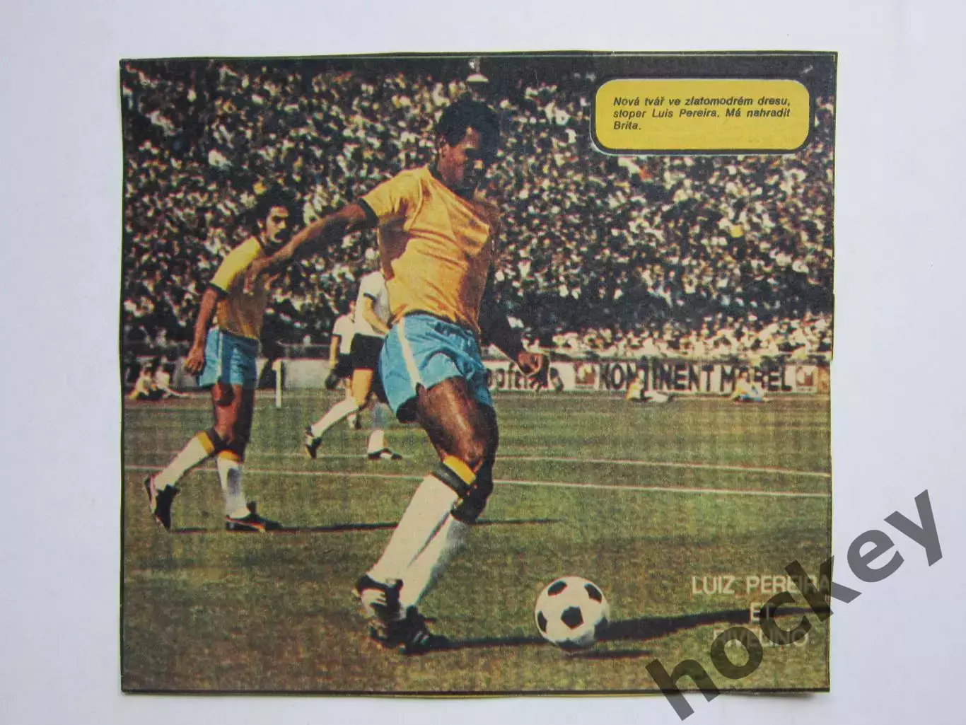 Вырезка. Футбол. Фото 448.