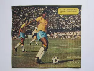 Вырезка. Футбол. Фото 448.