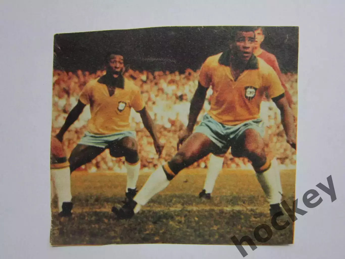 Вырезка. Футбол. Фото 448.