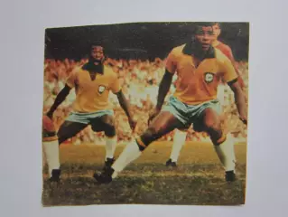 Вырезка. Футбол. Фото 448.