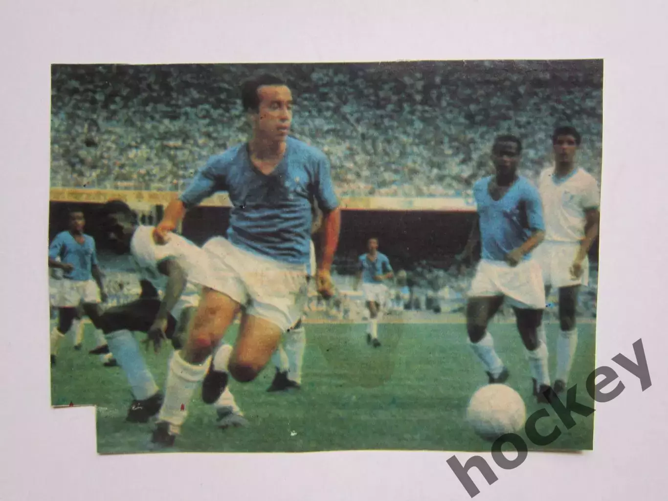 Вырезка. Футбол. Фото 449.