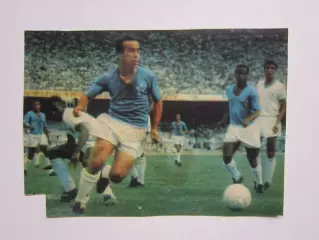 Вырезка. Футбол. Фото 449.