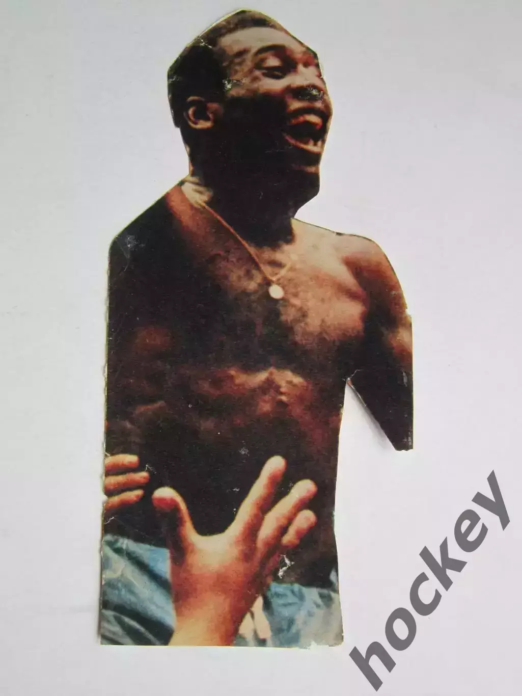 Вырезка. Футбол. Фото 452.