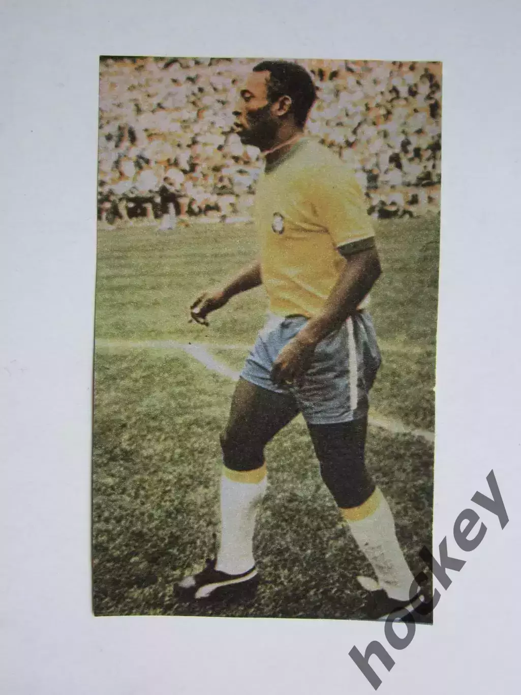 Вырезка. Футбол. Фото 453.