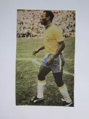 Вырезка. Футбол. Фото 453.