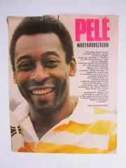 Вырезка. Футбол. Фото 454.