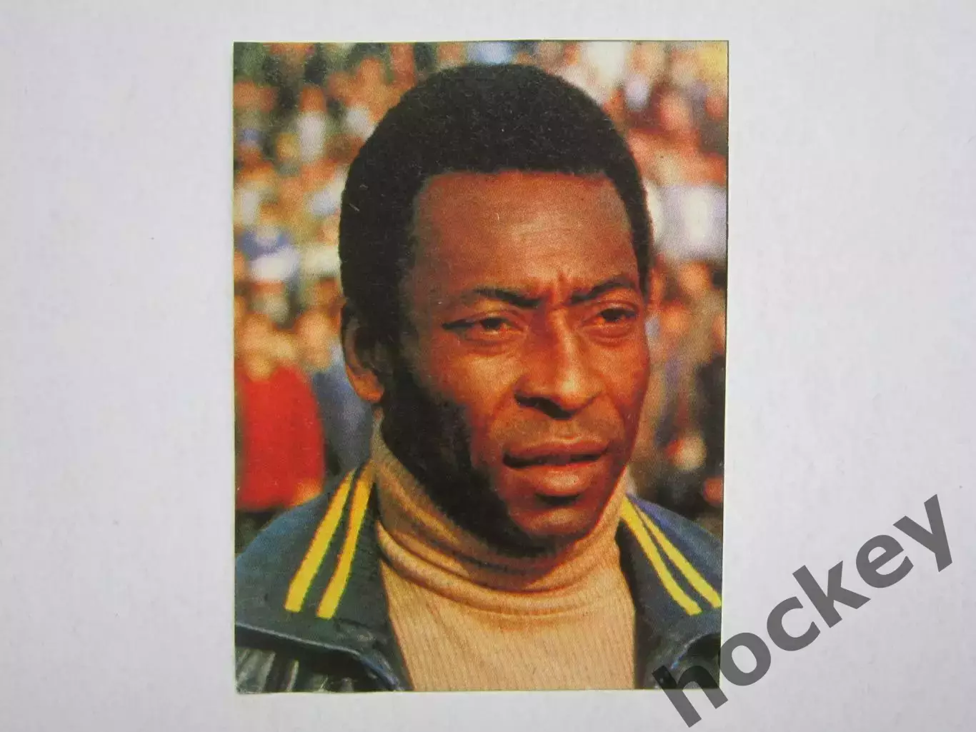 Вырезка. Футбол. Фото 457.