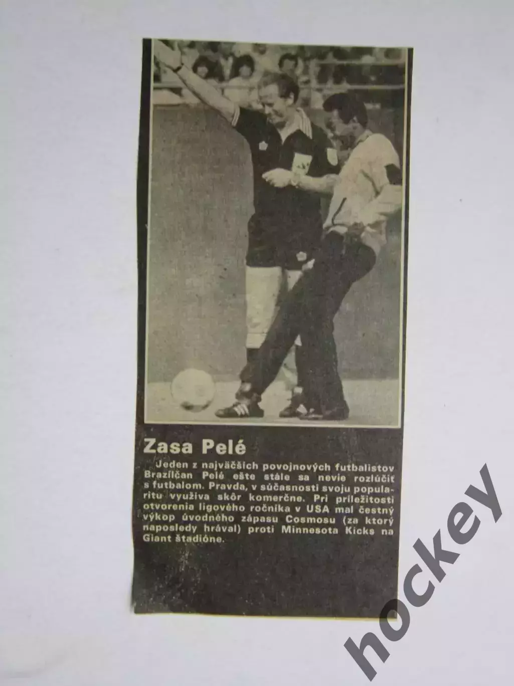 Вырезка. Футбол. Фото 458.