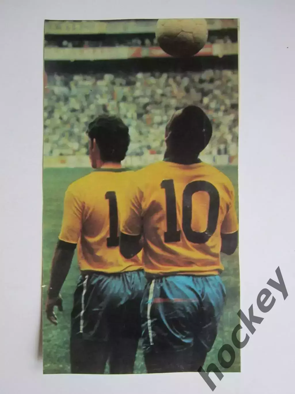 Вырезка. Футбол. Фото 459.