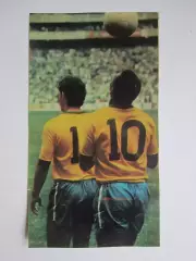 Вырезка. Футбол. Фото 459.