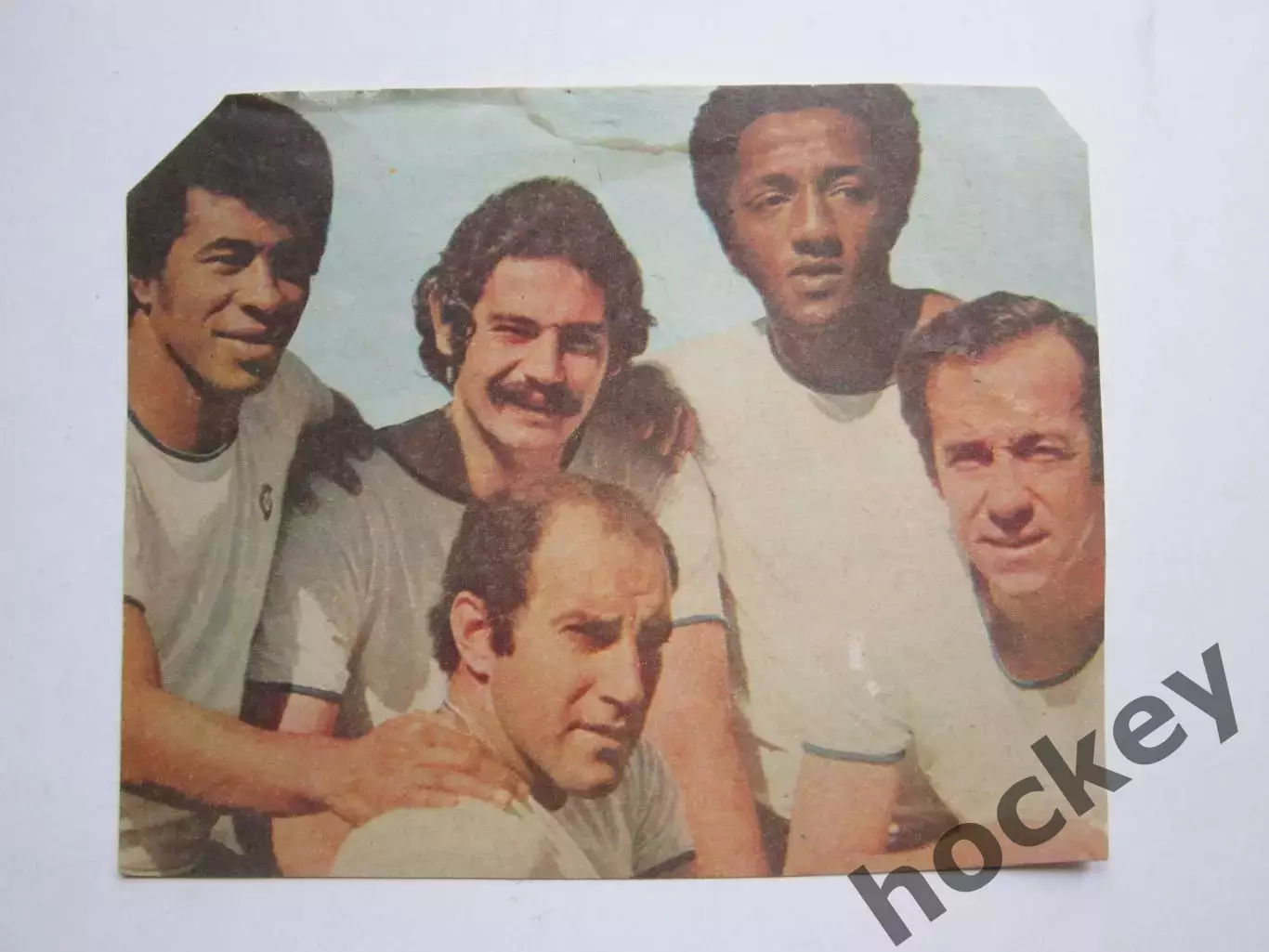 Вырезка. Футбол. Фото 460.