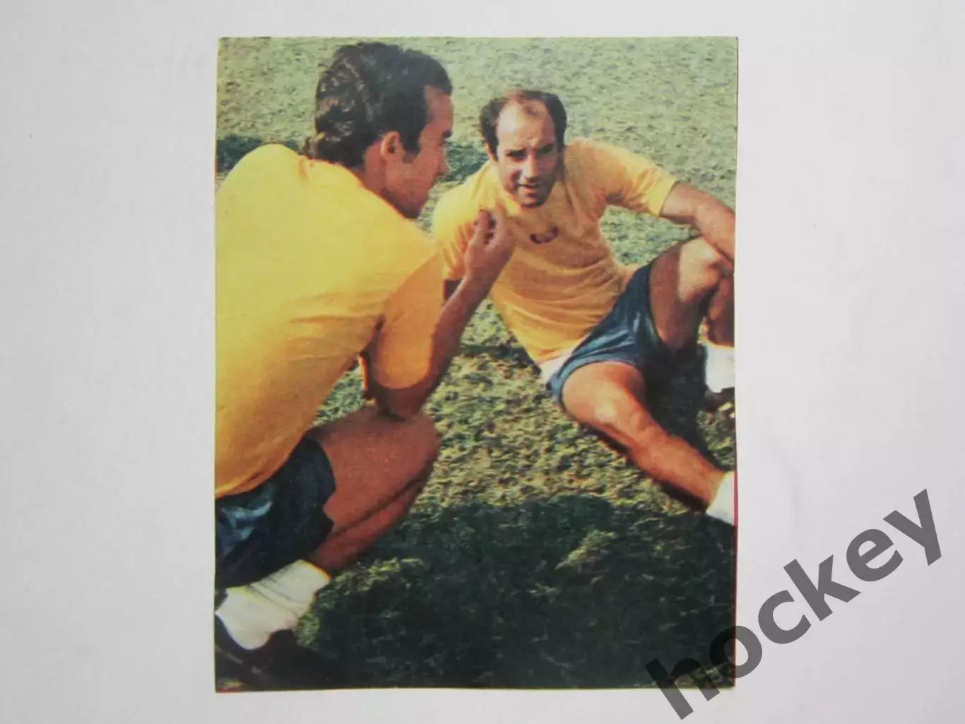 Вырезка. Футбол. Фото 461.