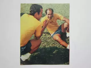 Вырезка. Футбол. Фото 461.