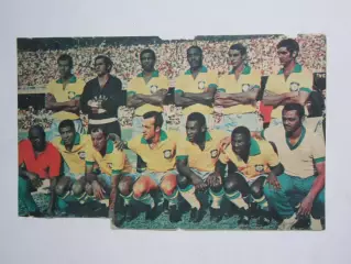 Вырезка. Футбол. Фото 462.