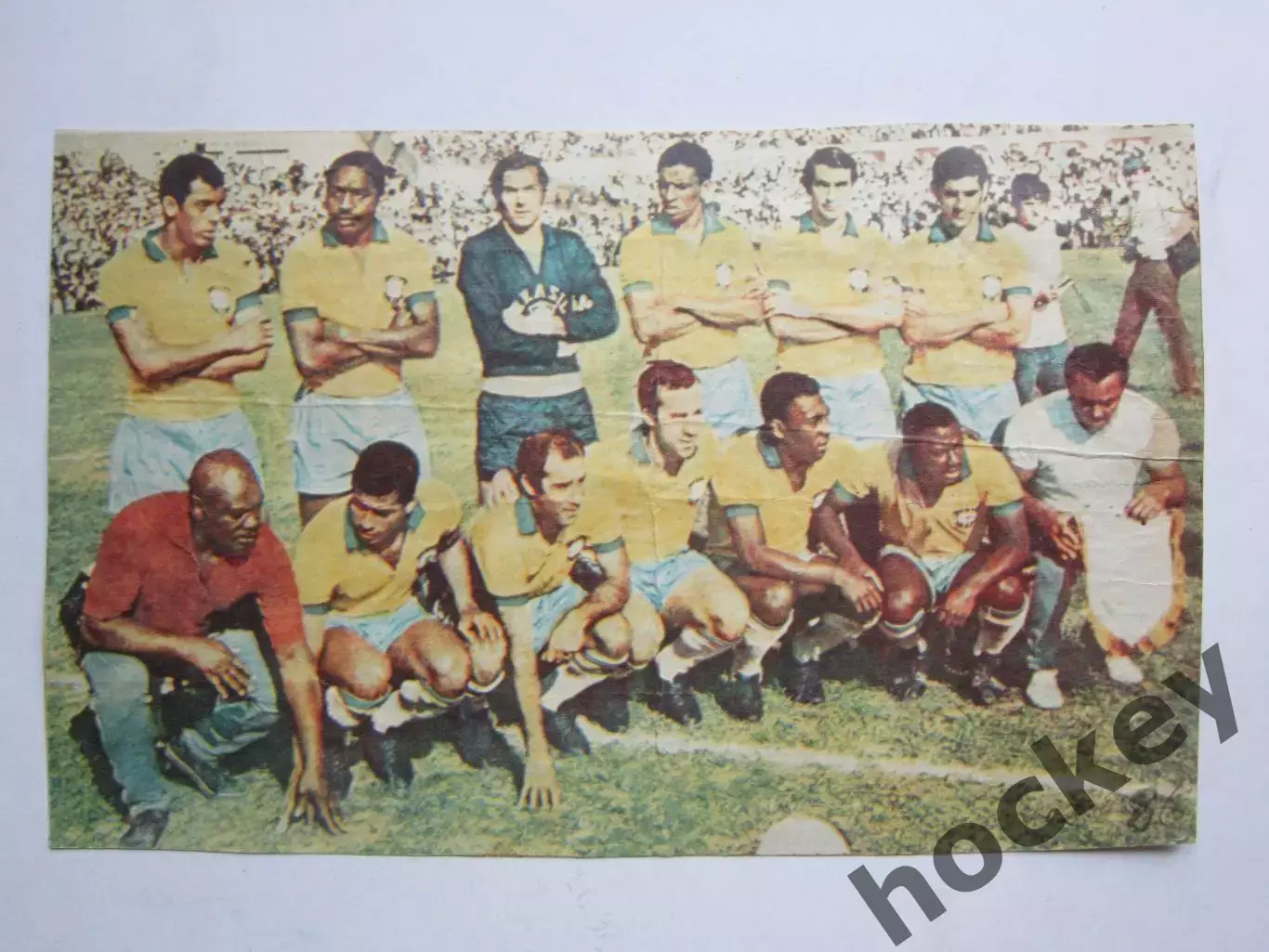 Вырезка. Футбол. Фото 463.