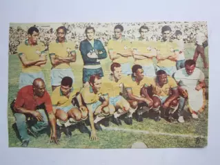 Вырезка. Футбол. Фото 463.