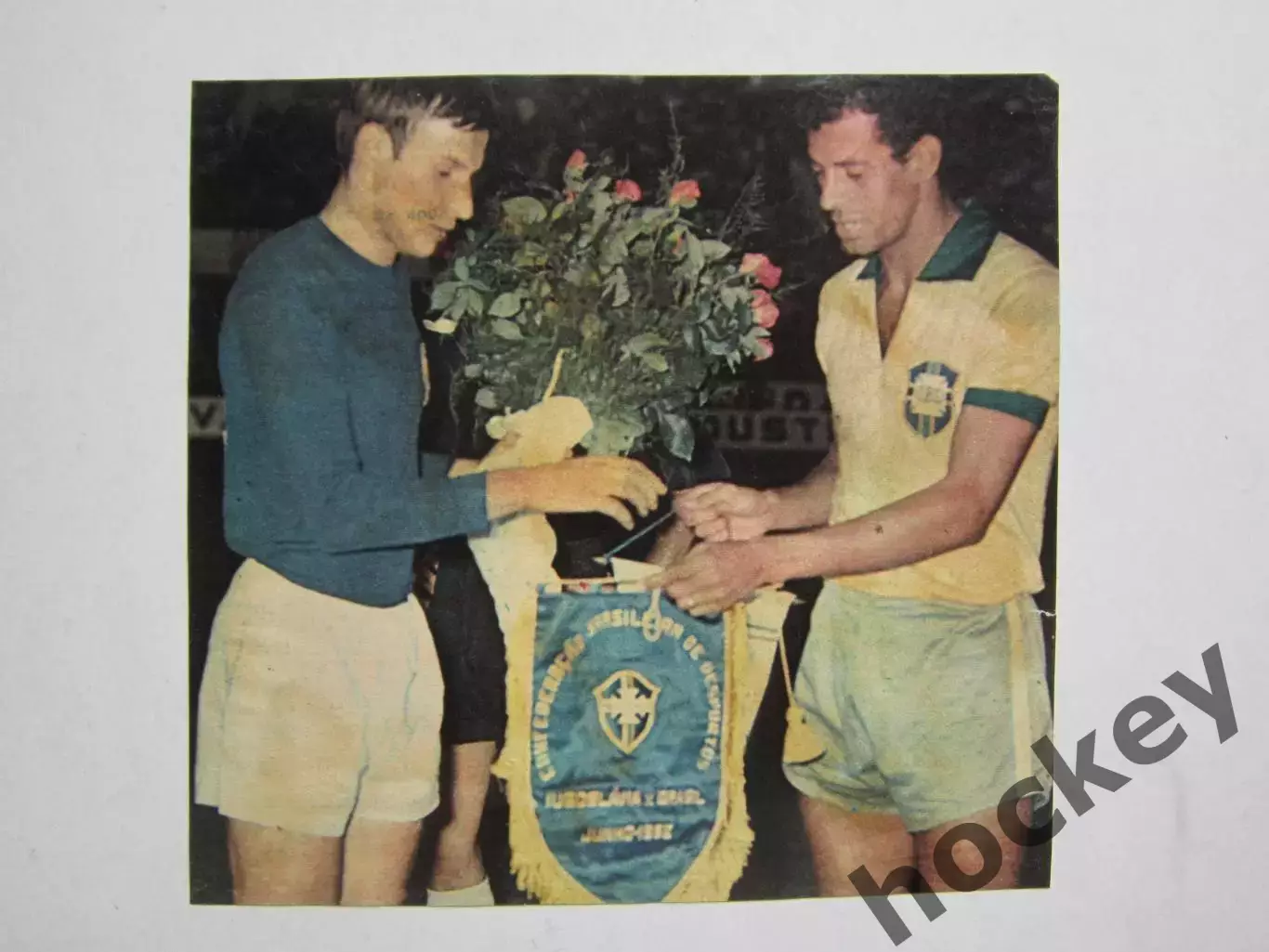 Вырезка. Футбол. Фото 464.