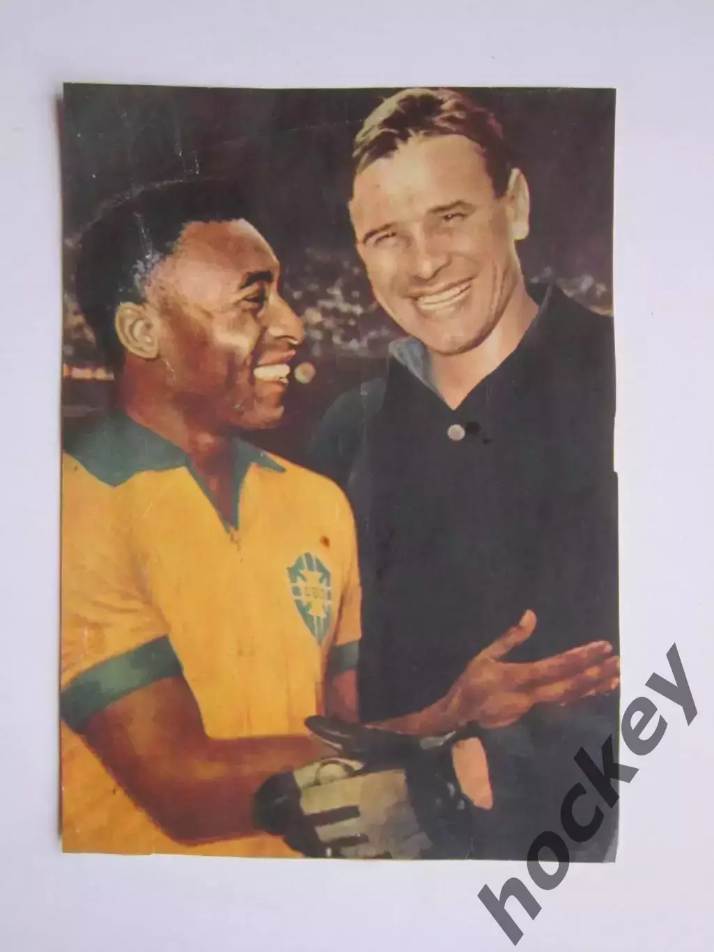 Вырезка. Футбол. Фото 466.